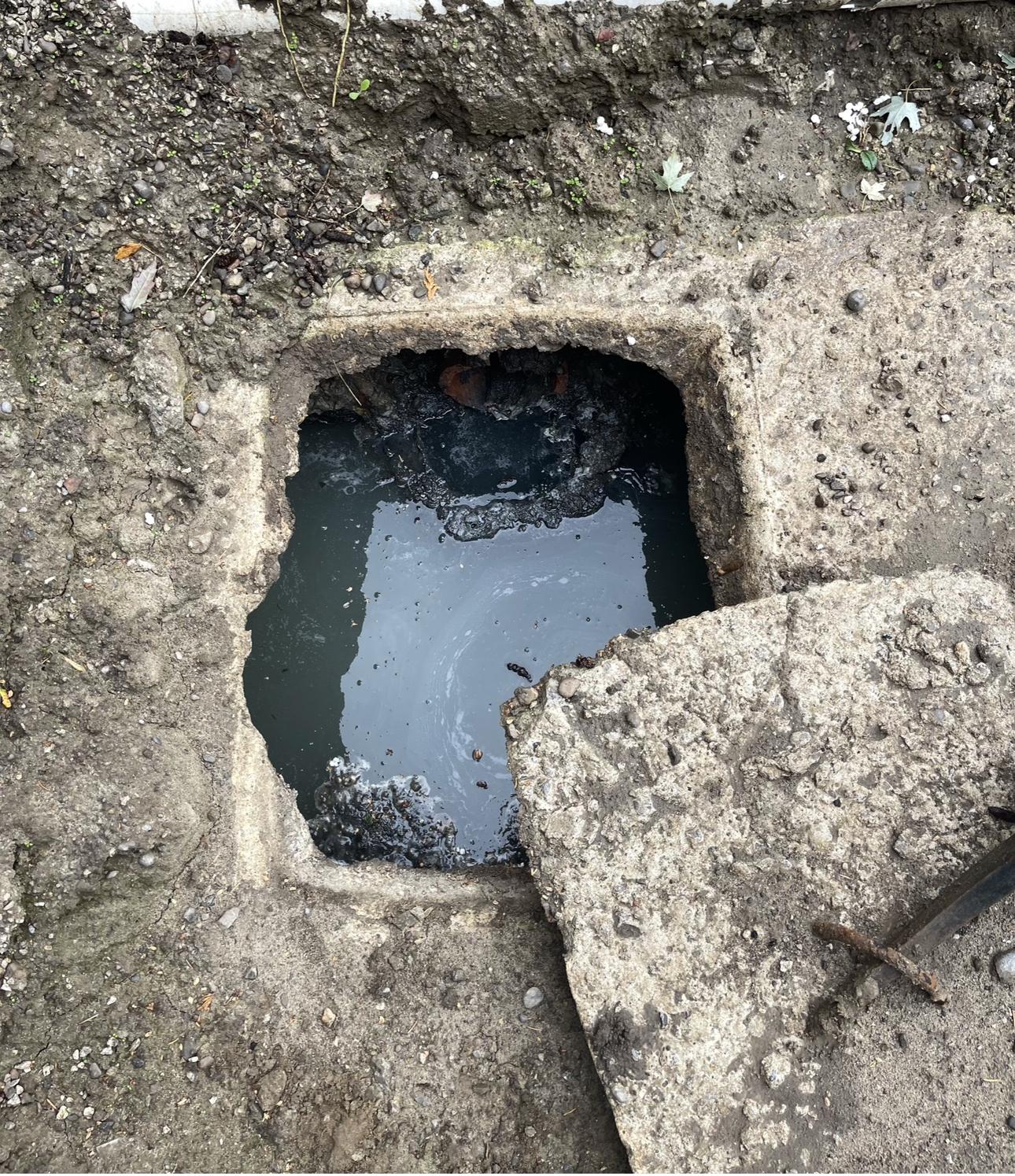 emergency septic tank pumping companies near me