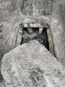 septic system backups and how to deal with Septic Smells