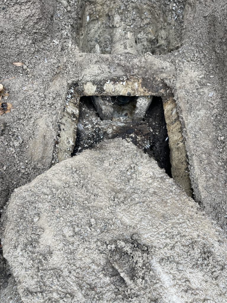 septic system backups and how to deal with Septic Smells